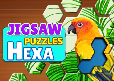 Hexa Jigsaw Puzzle